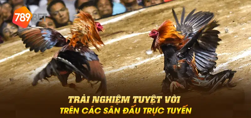 Trải nghiệm tuyệt vời trên các sân đấu trực tuyến